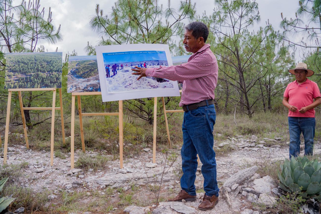 Portada de: Nueva estrategia país del FIDA en México: inversiones impulsarán soberanía alimentaria, resiliencia climática e inclusión social