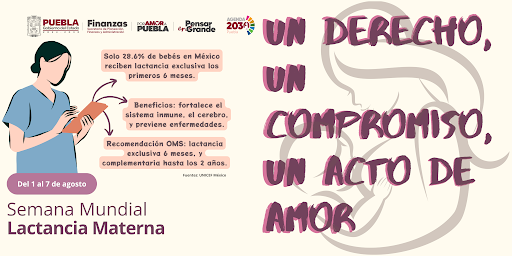 Portada de: Semana Mundial de la Lactancia Materna