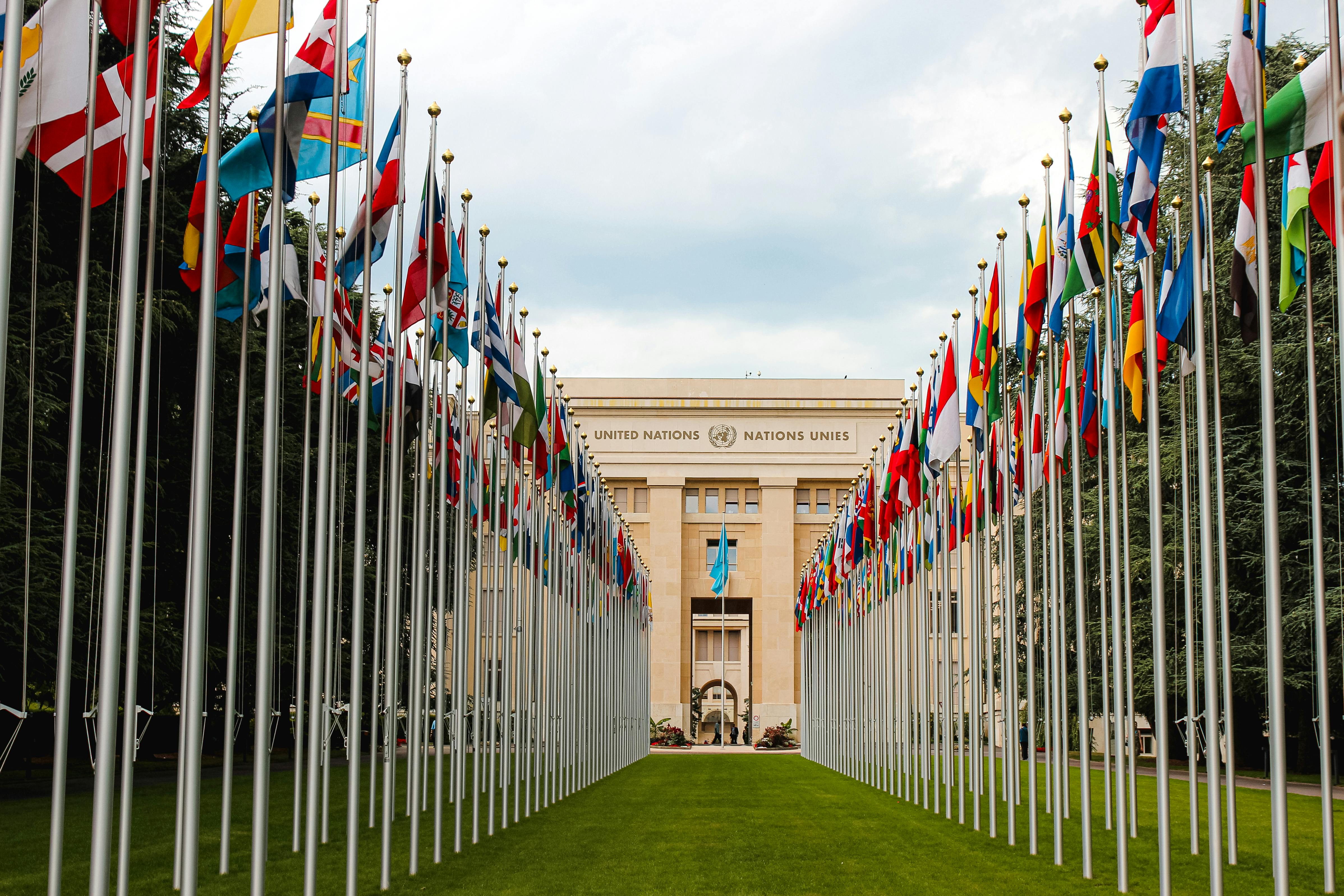 Imagen de la noticia de Dia de las Naciones Unidas