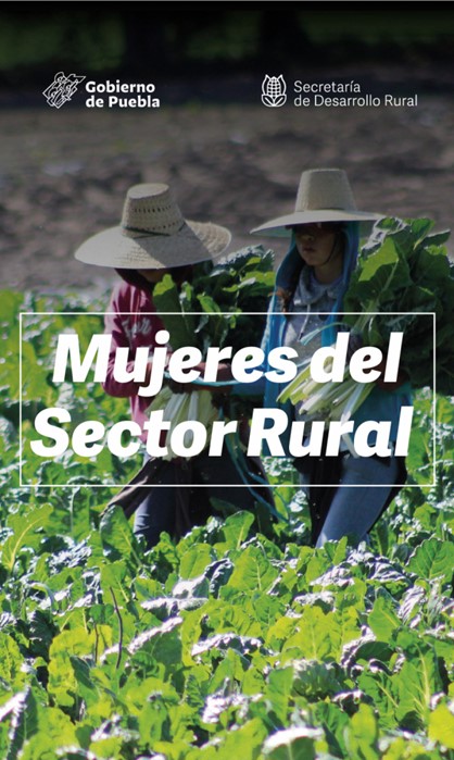 Imagen de la noticia de Día Internacional de las Mujeres Rurales