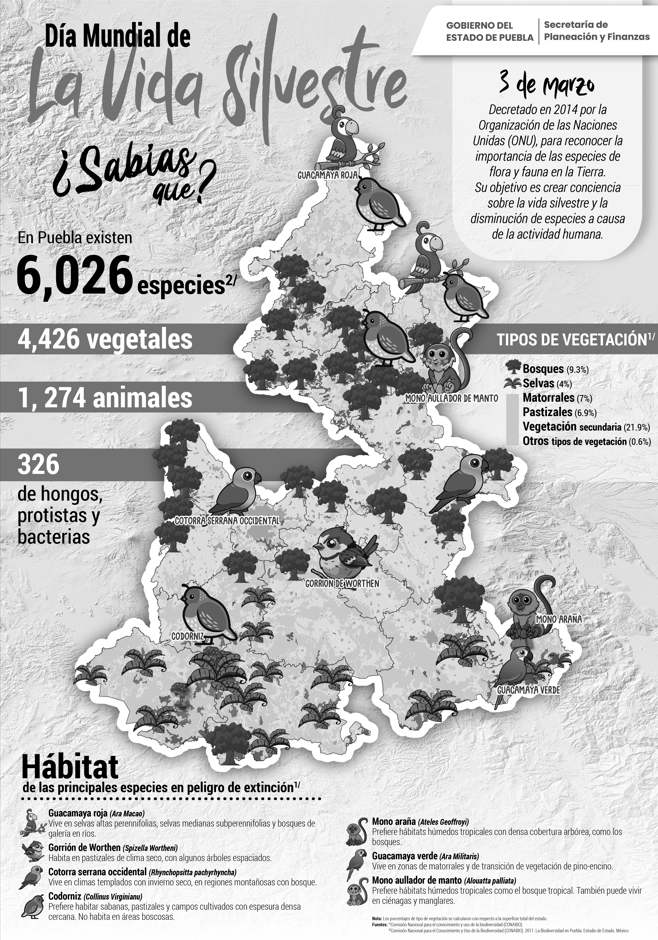 Imagen de la noticia de Día Mundial de la Vida Silvestre