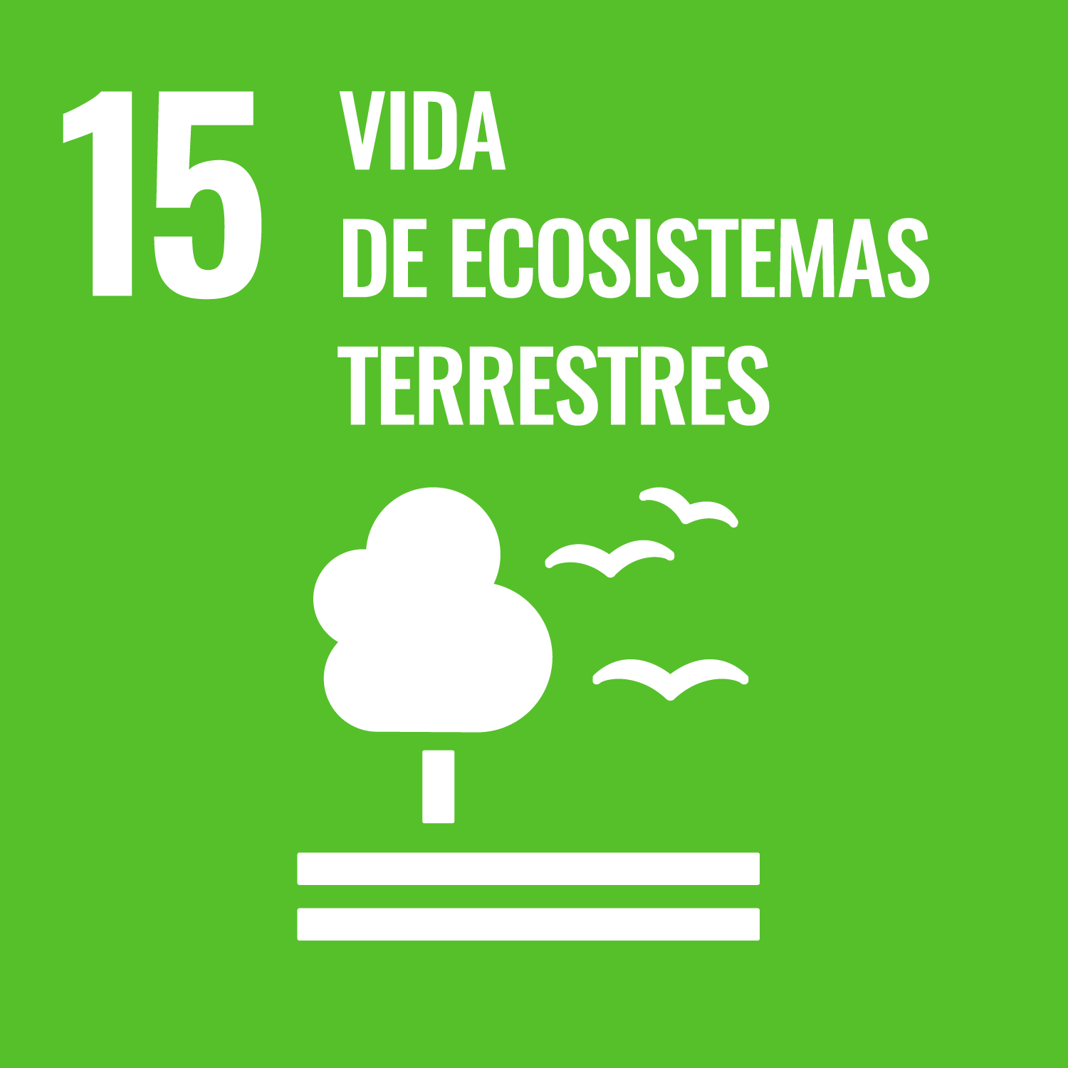 Ícono del ODS 15: Vida de Ecosistemas Terrestres