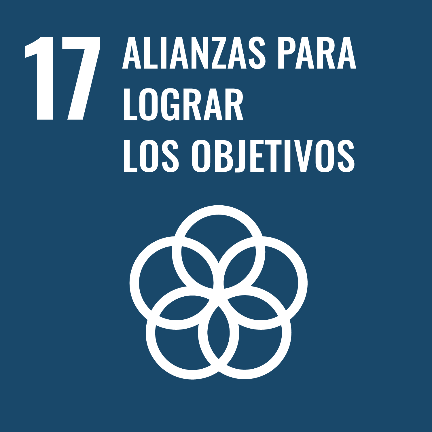 Ícono del ODS 17: Alianza para lograr los objetivos