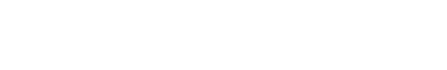 Gobierno de Puebla