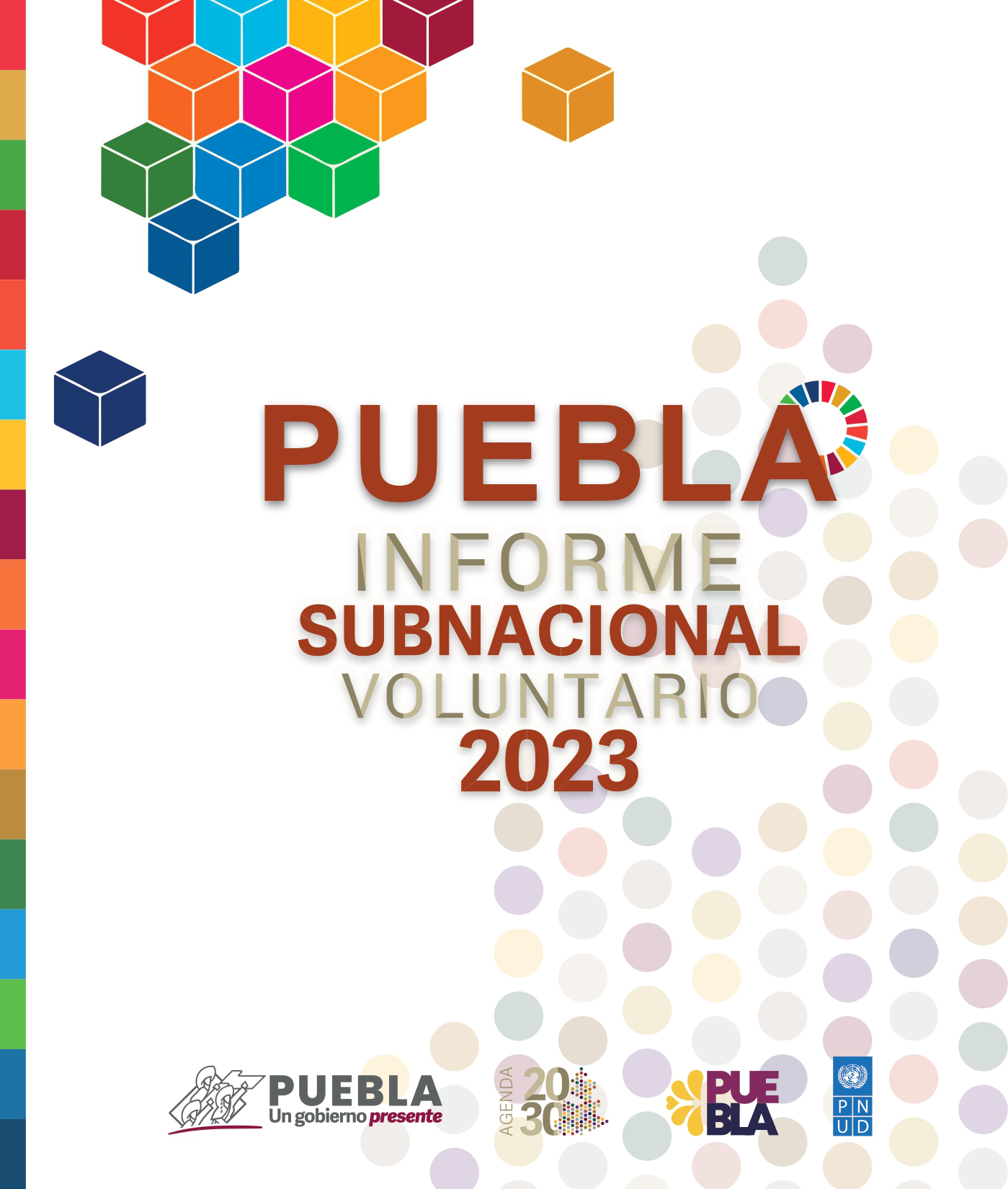 Informe Subnacional Voluntario 2023