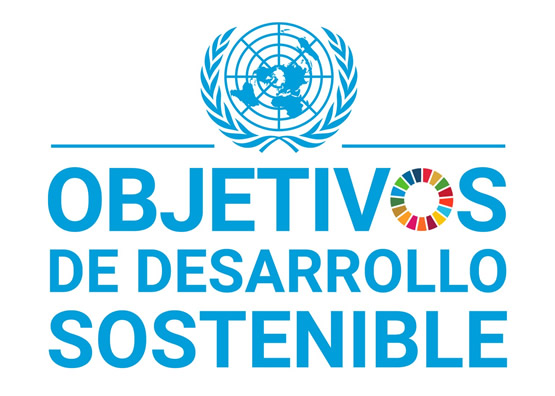 Imagen en azul de los Objetivos de Desarrollo Sostenible con logo de la ONU