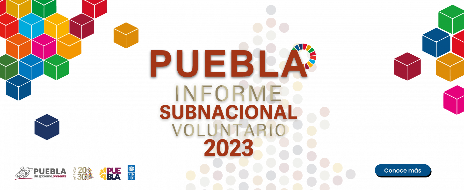 Informe Subnacional Voluntario 2023